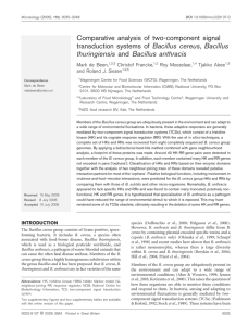 Comparative analysis of two-component signal transduction systems