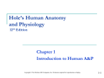 PowerPoint to accompany Hole`s Human Anatomy and Physiology