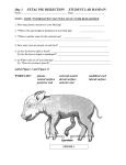 Day 1 FETAL PIG DISSECTION HAND-IN