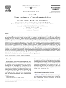 Tsutsui (2004) Neural mechanisms of three