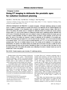 Using CT imaging to delineate the prostatic apex for radiation