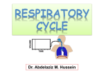 Respiratory cycles