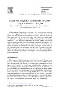 Local and Regional Anesthesia in Cattle