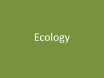 What is Ecology? - MsHollandScience