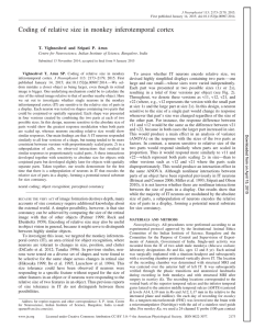 Coding of relative size in monkey inferotemporal cortex