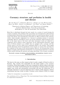 Coronary structure and perfusion in health and disease