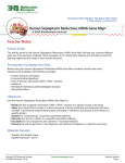 SPRGM Teacher Notes - 3D Molecular Designs