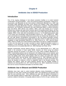Antibiotic Use in DDGS Production