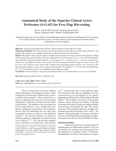 Anatomical Study of the Superior Gluteal Artery