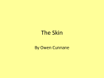 The Skin