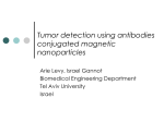 Tumor detection using antibodies conjugated magnetic nanoparticles