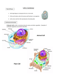 Unit 1 Summary Animal Cell Plant Cell