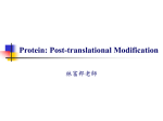 Protein: Post-translational Modification