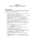 Chapter 25 Amino Acids, Peptides, and Proteins