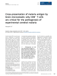 Cross‐presentation of malaria antigen by brain microvessels: why