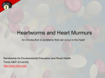 Heart Murmurs and Heartworms - Partnerships for Environmental