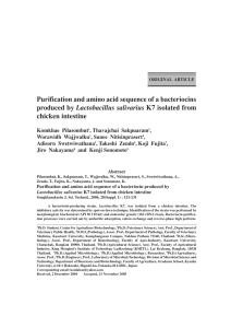 Purification and amino acid sequence of a bacteriocins produced by