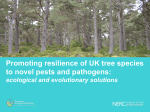 Promoting resilience of UK tree species to novel pests