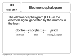 EEG - OCIBME