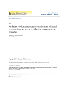 Auditory working memory: contributions of lateral prefrontal cortex