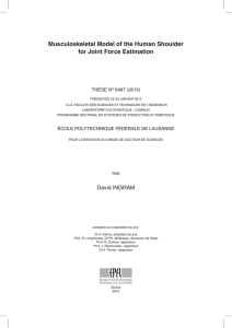 Musculoskeletal Model of the Human Shoulder for