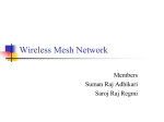 Wireless Mesh Network