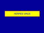herpesvirus lecture