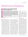 Planted Forests and Biodiversity