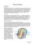 Trigeminal Neuralgia