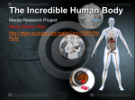 The Incredible Human Body