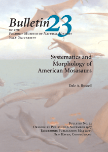 Bulletin 23 - Yale Peabody Museum of Natural History