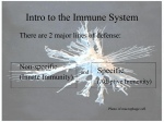 Intro to the Immune System