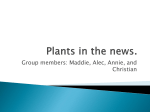 Plants in the news. - ycplantprojectsection1