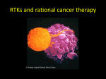 RTKs-Herceptin