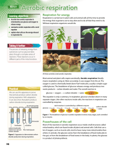 Aerobic respiration