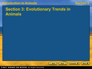 Introduction to Animals Section 3 Section 3