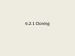 6.2.1 cloning student version