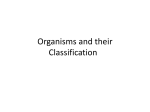 Classification