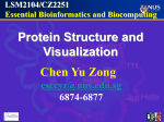 Lect 9: BioMacromolecular Visualization I: Principles - BIDD