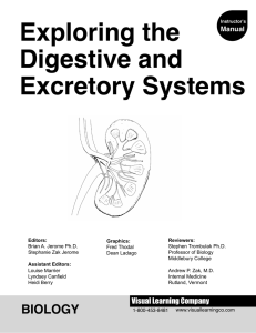 Exploring Digestive and Excretory Systems