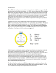 cell cycle - Instructure