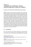 Asymmetries in Cell Division, Cell Size, and Furrowing in the