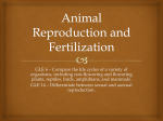 Animal Reproduction and Fertilization