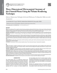 Three-Dimensional Microsurgical Anatomy of the Choroid Plexus