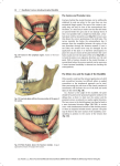 Thieme: Atlas of Craniomaxillofacial Osteosynthesis