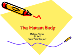 The Human Body