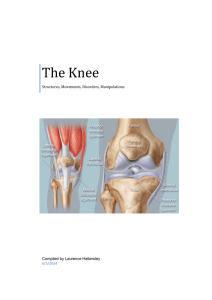 The Knee - Anatomy and Physiology Course Anatomy and