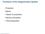 Functions of the Integumentary System