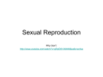 Advantages of Sexual Reproduction