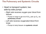 Left ventricle